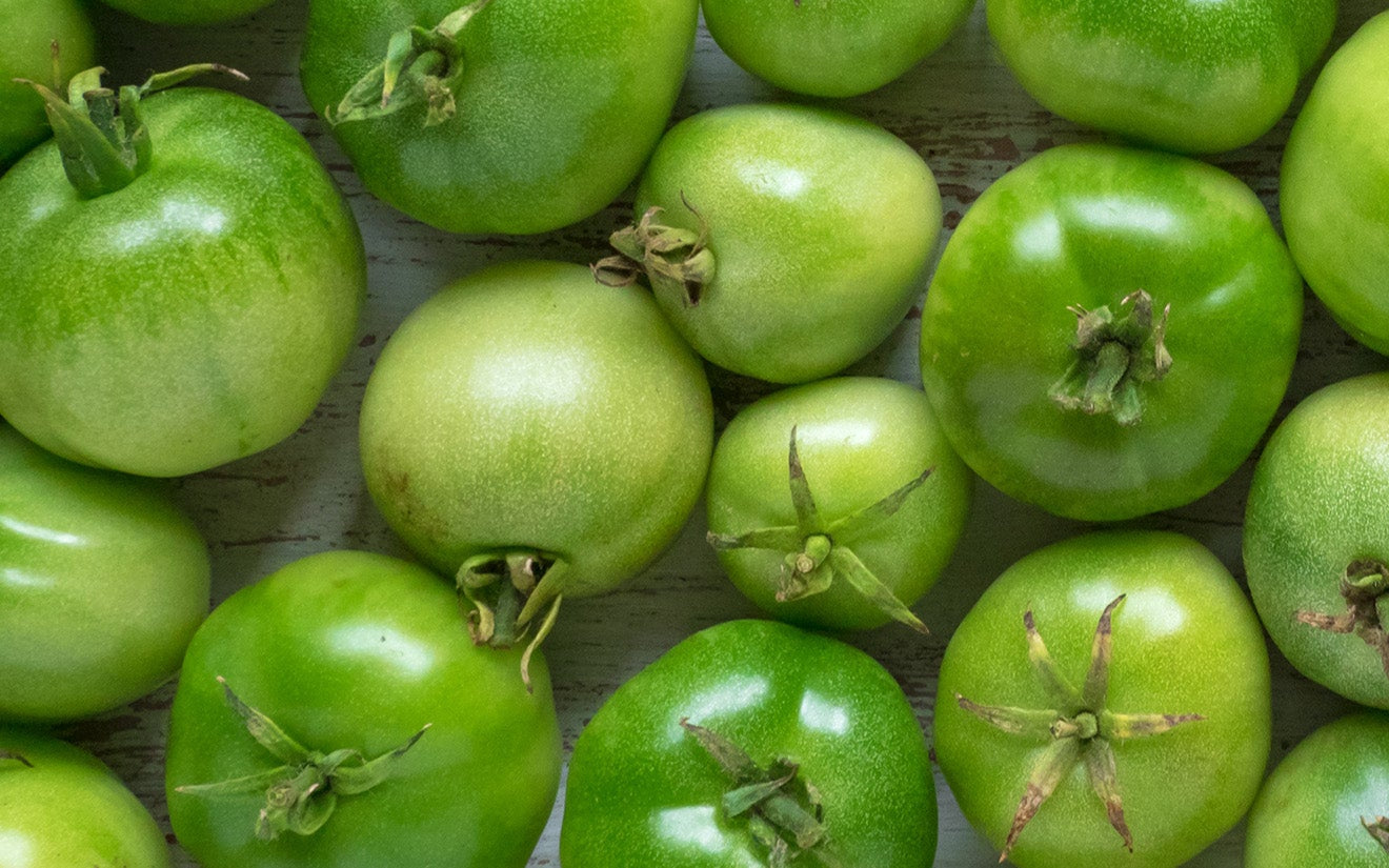 Green Tomato Line