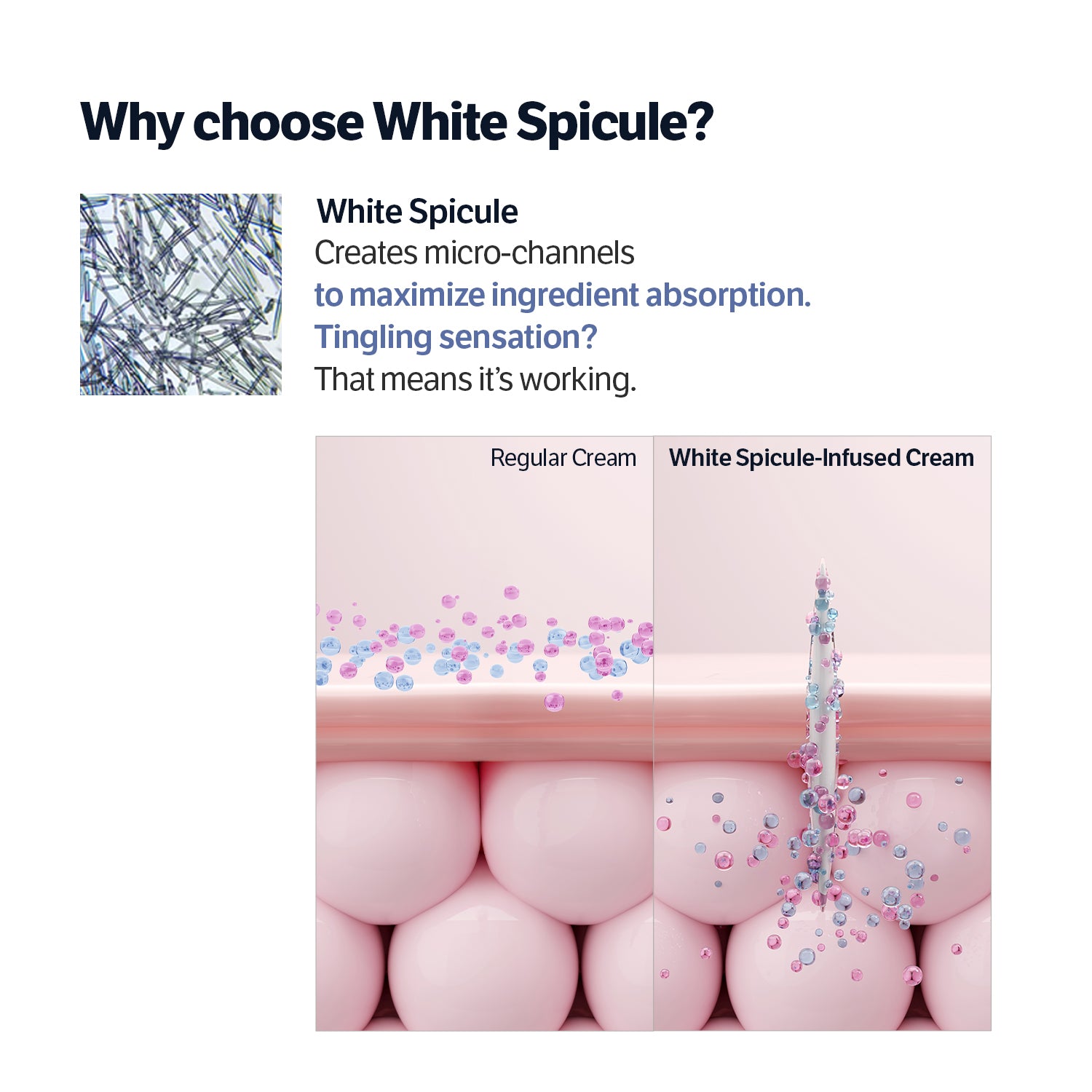 Sungboon Collagen Essentials Set